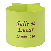 6 Ronds de Serviette Unis Vert Anis