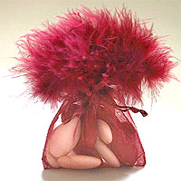 Sac Pochon Organdi Plume Boa Bordeaux Contenant x10