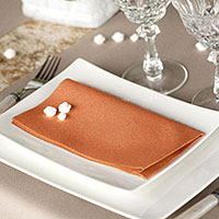 Serviette Epaisse Airlaid Terracotta Brique