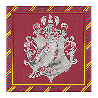 Serviette Sorcier Anniversaire Magique