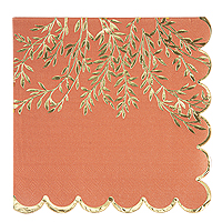 Serviettes Jolis Brins Terracotta x16