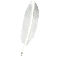 Stylo Plume d'Oie Blanche Pointe Plume