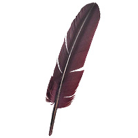 Stylo Plume d'Oie Bordeaux Pointe Plume