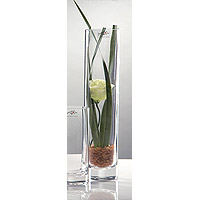 Vase Verre Droit Etroit Cylindrique Epais