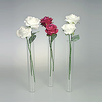 Mini Vases Eprouvettes Tube avec Roses