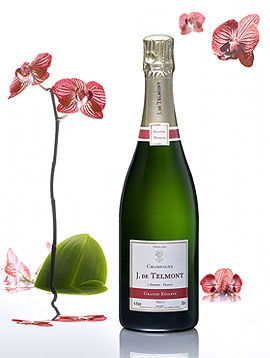 Cliquez pour agrandir l'image