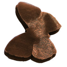 Papillon organza chocolat