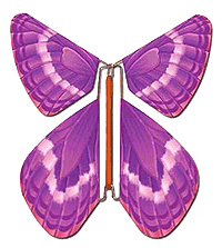 Papillon Magique Volant Magic Flyer Faire Part