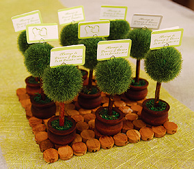 Marque Place Petit Arbre Buis Mariage Vert Anis