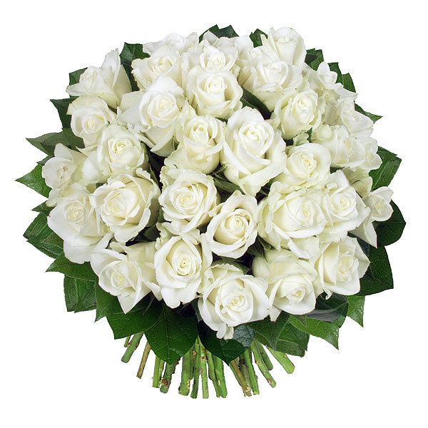 bouquet de roses blanches