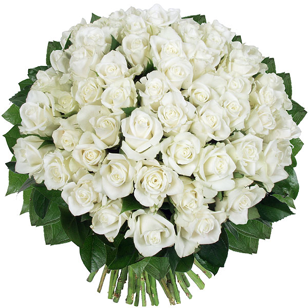 bouquet de roses blanches