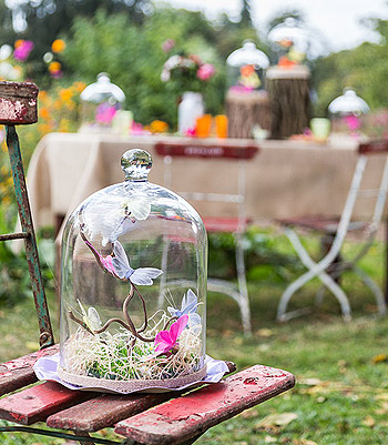 Cloche en verre papillon champetre