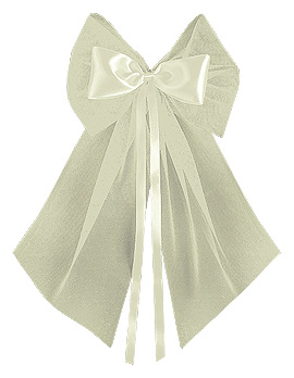 Cocardes Tulle et Satin Déco de Chaise Ivoire