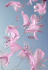 Guirlande Plumes Perles Decoration Mariage Parme