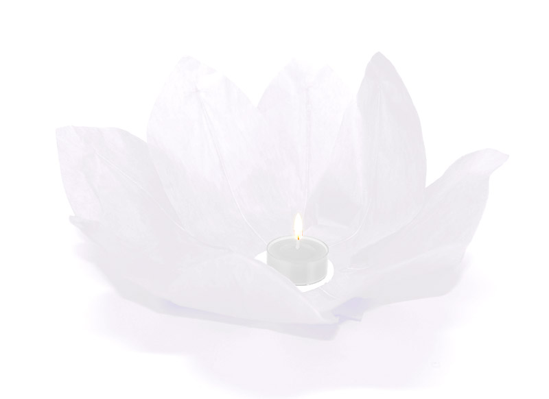 Lanterne flottante lotus Thai blanc