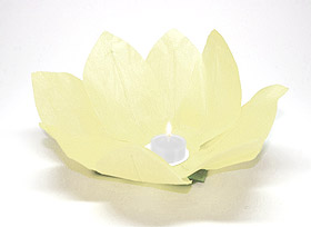 Lanterne flottante lotus Thai ivoire