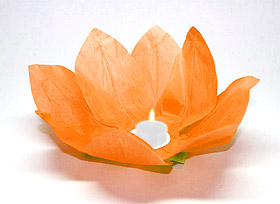 Lanterne flottante lotus Thai orange