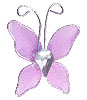 Petit Papillon Strass Décoration Mariage Parme
