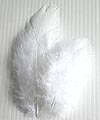 Plumes Décoration Mariage Blanc