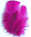 Plumes Décoration Mariage Fuchsia