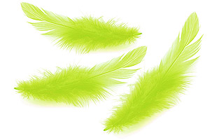 Plumes Longues de Décoration Table Vert Anis