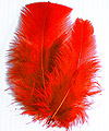 Plumes Décoration Mariage Rouge