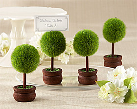 Marque Place Petit Arbre Buis Mariage Vert Anis