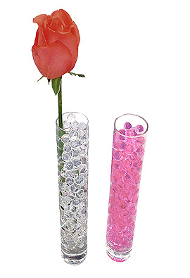 Tube Eprouvette Vase pour Fleur