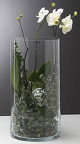 Décoration florale Vase en Verre Cylindrique Transparent