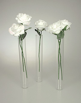 Mini Vases Eprouvettes Tube avec Roses Blanc