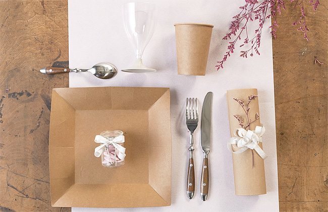 10 Assiettes en carton kraft 23 cm - Vegaooparty