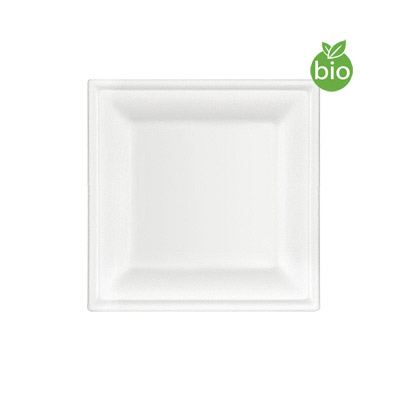 Petites Assiettes Biodégradables Fibre de canne pas cher