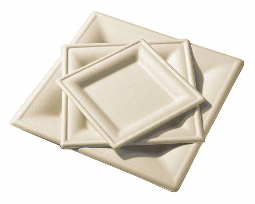 300pcs Assiette Carrée Jetable Rigide Blanche Bagasse Alternative Plastique  + Couverts en Bois, 50 Personnes, Biodégradable, Plat + Entrée Et  Dessert, Set Vaisselle