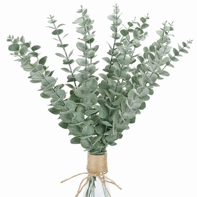 Glicrili Lot de 12 tiges de feuilles d'eucalyptus séchées mélangées –  Branches d'eucalyptus préservées, eucalyptus dollar argenté, bouquets