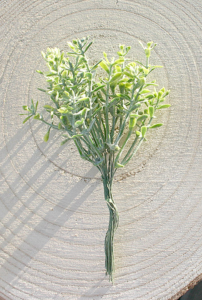 Bouquet Santoline Décoration Florale Vert DIY Mariage