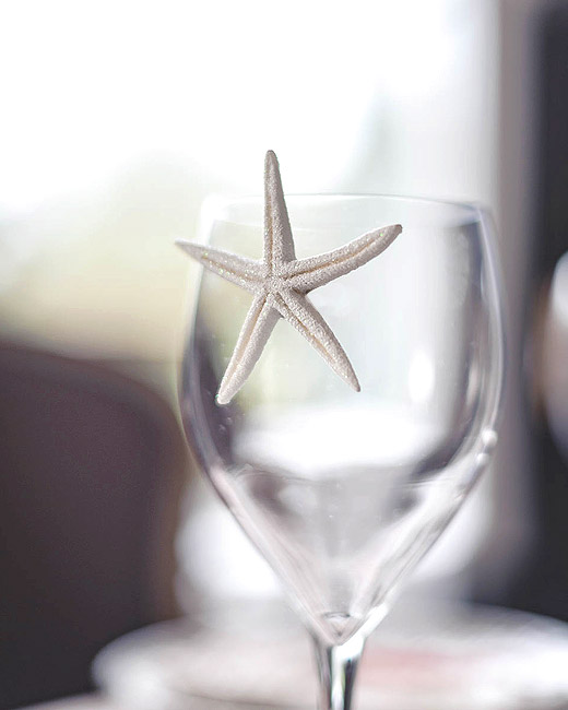 Get Decorations etoiles de mer For Android Free