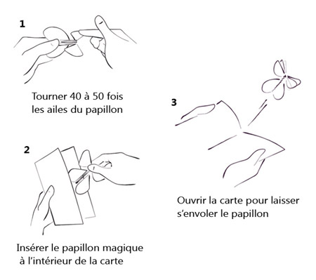 Mode d'emploi papillon Flyer