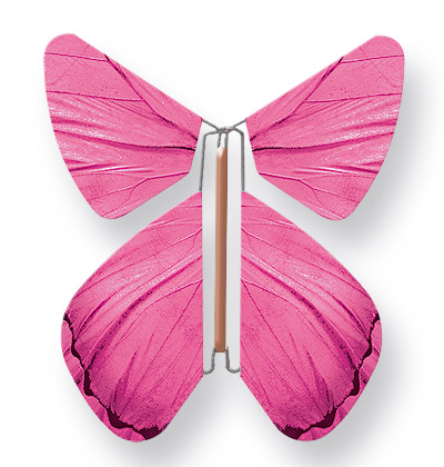 Papillon Magique Fuchsia