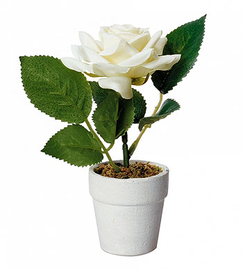 Petit Pot Rose Blanche Artificielle