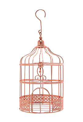 Petite Tirelire Cage Oiseaux Rose Gold Métallisé Pas Cher