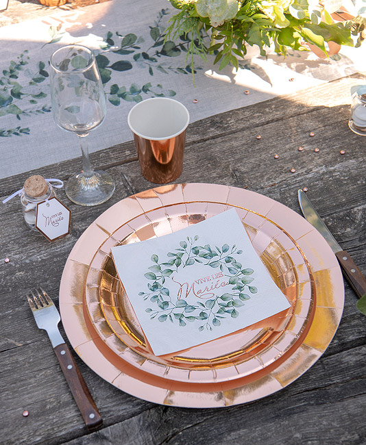 Assiette Anniversaire Fille blanc/rose en carton x6