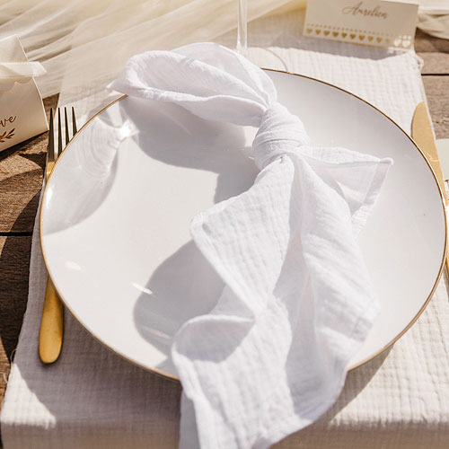 Les serviettes de table coton bio blanches Ensemble de 2