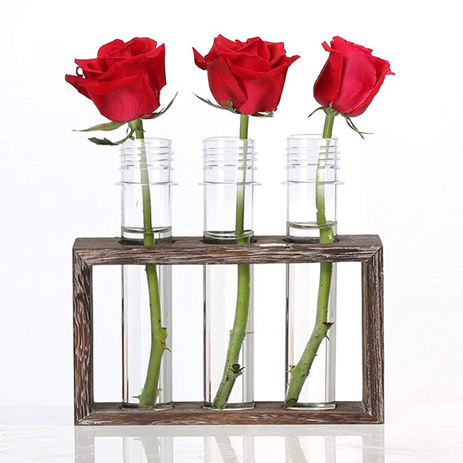 Tube Eprouvette Vase pour Fleur