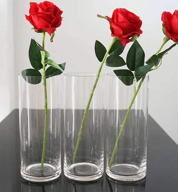 Vase en Verre Droit Cylindrique Transparent avec Rose Rouge